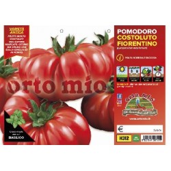 Pomodoro costoluto fiorentino-plateau 6 piantine | Laserrafiorita.it