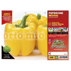 Peperone giallo Mohai-plateau 6 piantine | Laserrafiorita.it