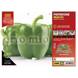 Peperone verde Macio-plateau 6 piantine | Laserrafiorita.it