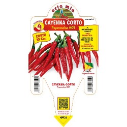 Peperoncino Cayenna corto -...
