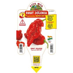 Peperoncino Bhut Jolokia -...