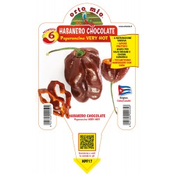 Peperoncino Habanero...