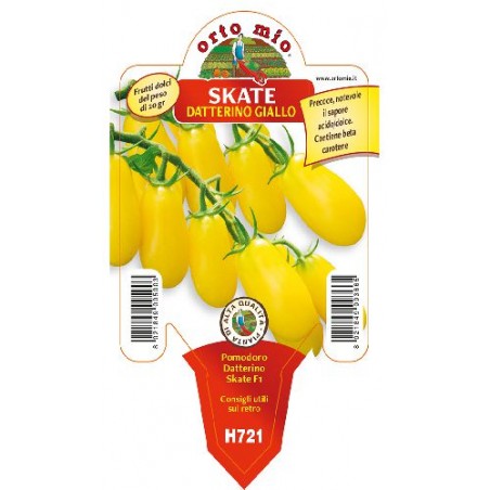 Pomodoro datterino giallo v10 Skate