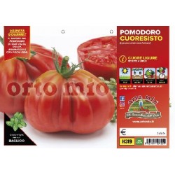 Pomodoro a cuore ligure -Cuoresisto-v10 | Laserrafiorita.it