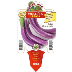 Melanzana violetta lunga (perlina)-v10 | Laserrafiorita.it