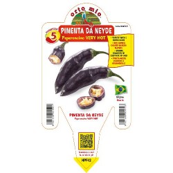 Peperoncino Pimenta de Neyde - vaso 14 | Laserrafiorita.it