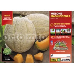 Melone retato con fetta v10-Magnificenza | Laserrafiorita.it