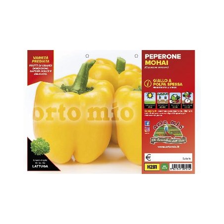 Peperone quadrato giallo Mahoi v10 - pianta innestata | Laserrafior...