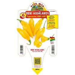 Peperoncino Beni highlands-...