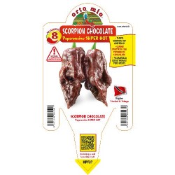 Peperoncino scorpion chocolate - vaso 14 | Laserrafiorita.it