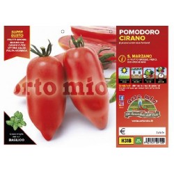Pomodoro nano Roma -plateau 6 piante | Laserrafiorita.it