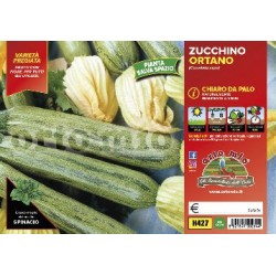 Zucchino Strike v10 | Laserrafiorita.it