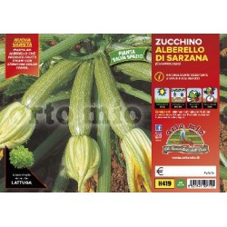 Zucchino alberello di Sarzana v10 | Laserrafiorita.it