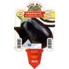 Melanzana tonda nera-v10-fantastic