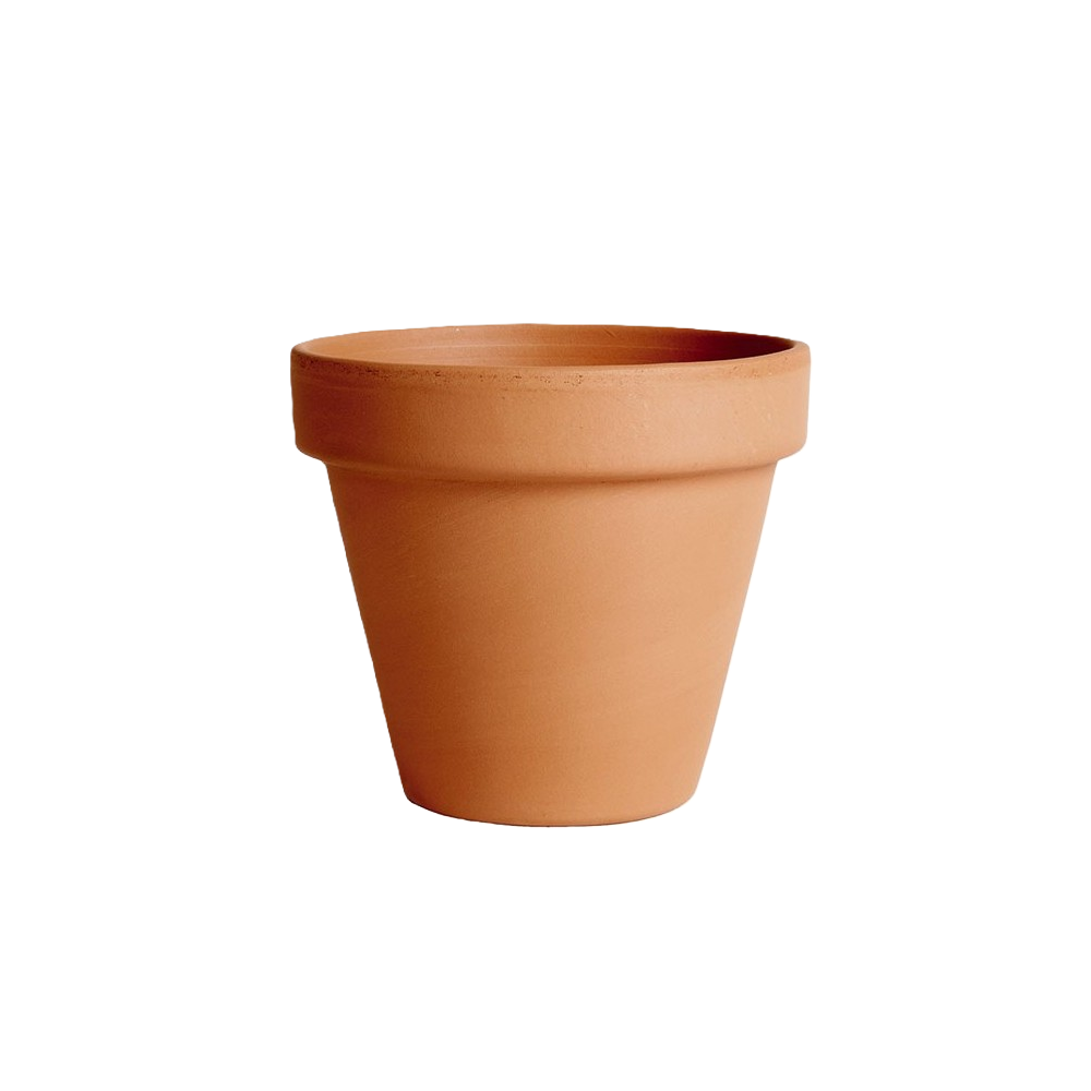 vaso standard cm 17