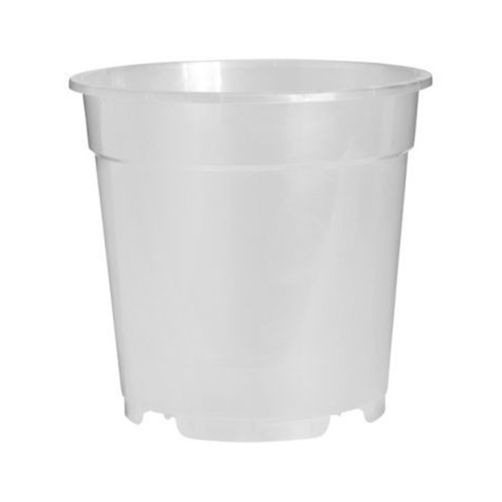 Vaso per orchidee cm 17 trasparente